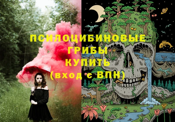 хмурый Балахна